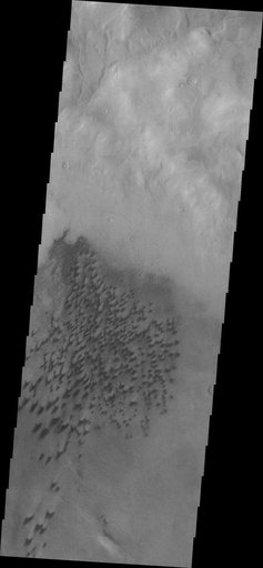 Arkhangelsky Crater Dunes