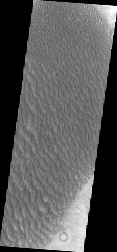 Proctor Crater Dunes