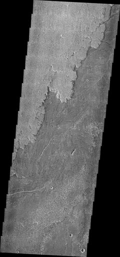 Daedalia Planum