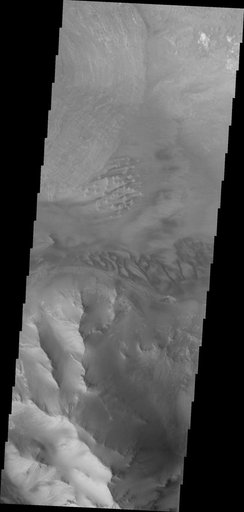 Ius Chasma
