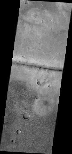 Fracture