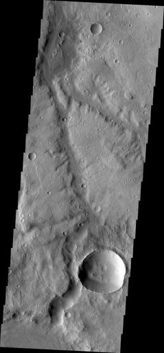 Marikh Vallis
