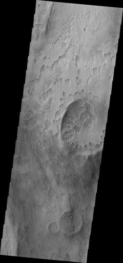 Peneus Patera