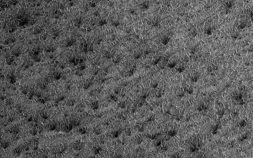 Lace on Mars