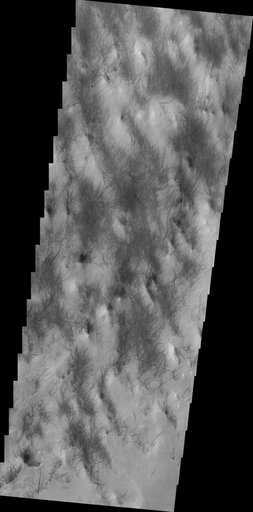Dust Devil Tracks