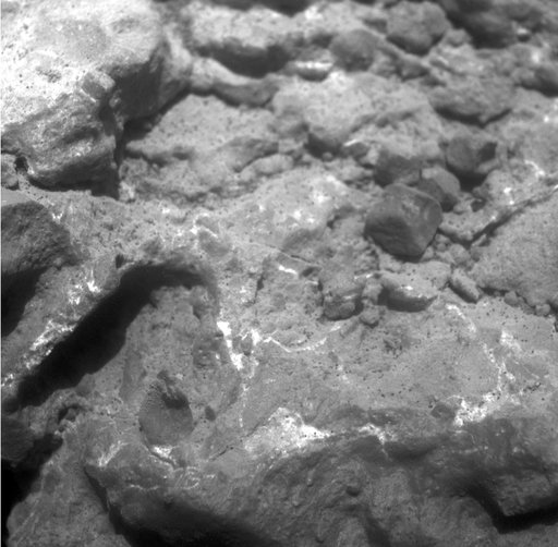 Magnified View of Texture on Part of Tisdale