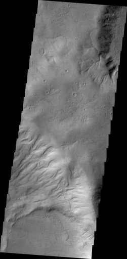 Gullies on Argyre Planitia
