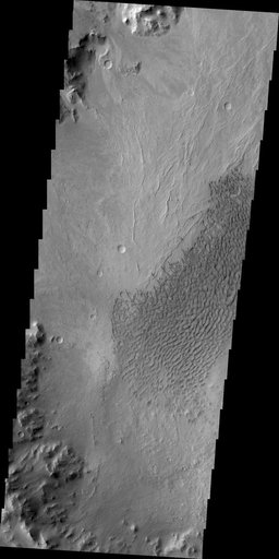 Dunes of Arabia Terra