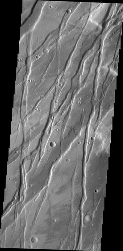 Tempe Fossae