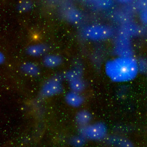 Dusty Star Stands Out From the Rest