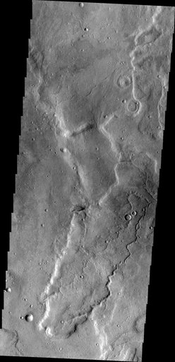 Tempe Terra