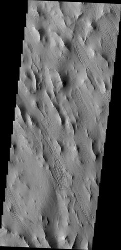 Lycus Sulci