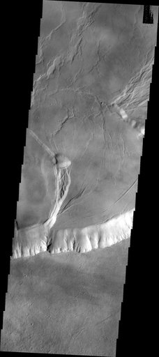 Olympus Mons