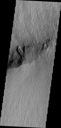 Olympus Rupes