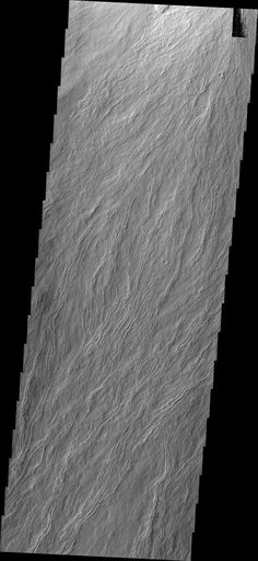 Olympus Mons