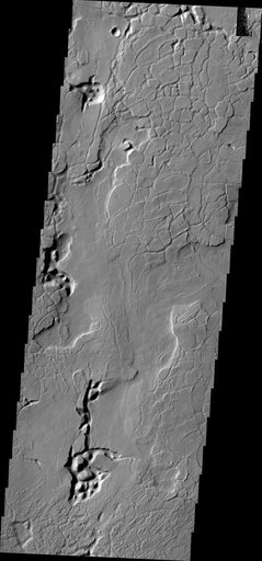 Tectonics
