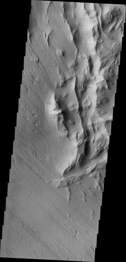 Lycus Sulci