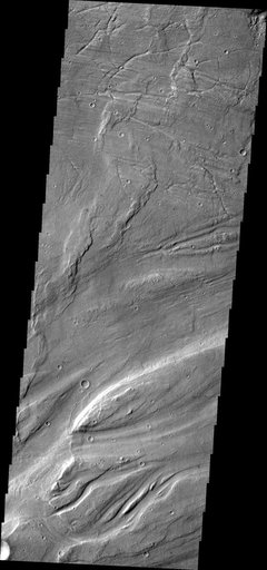 Maja Valles