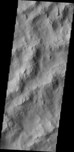 Lycus Sulci