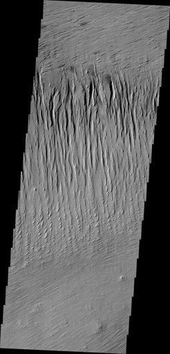Yardangs