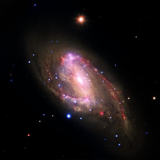 NGC 3627: Revealing Hidden Black Holes