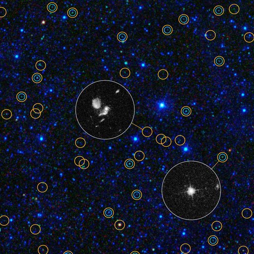 Exposing Black Holes Disguised in Dust