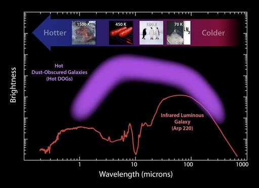 Analyzing Hot DOG Galaxies