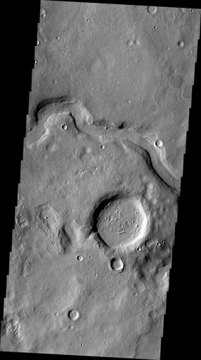 V46125015