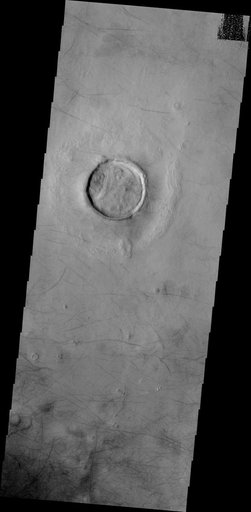 Dust Devil Tracks