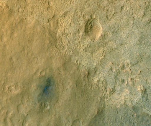 Curiosity in Exaggerated Color