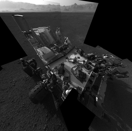 Still Life with Rover