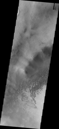 Brashear Crater Dunes