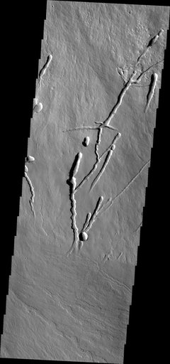 Pavonis Mons