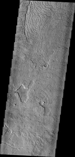 Avernus Fractures