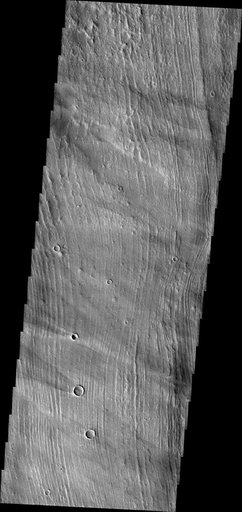 Arsia Sulci
