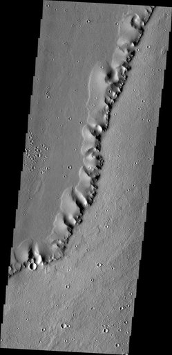 Uranius Dorsum