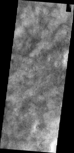 Utopia Planitia