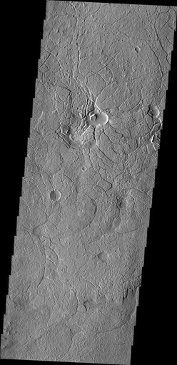 Arcuate Fractures