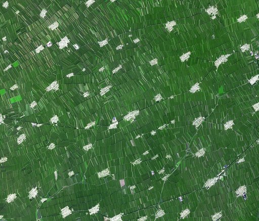 Heilongjiang Province, China