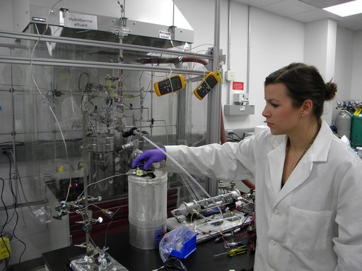 Simulating a Submarine Hydrothermal Vent
