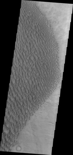 Proctor Crater Dunes