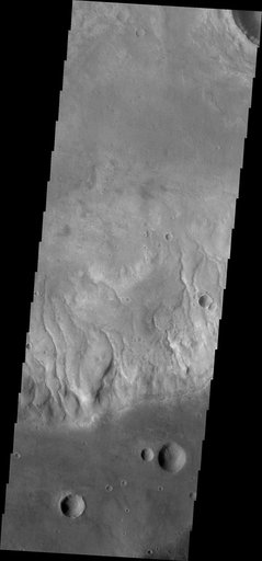 Bunge Gullies