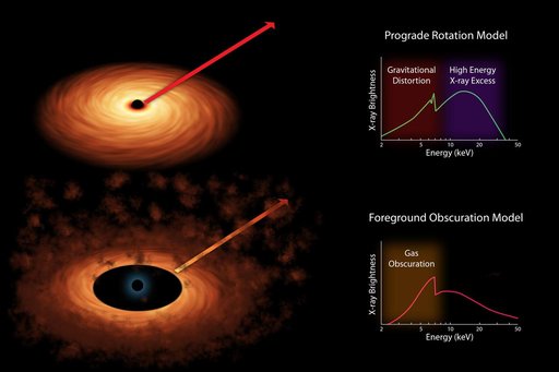 Two Models of Black Hole Spin Artist Concept