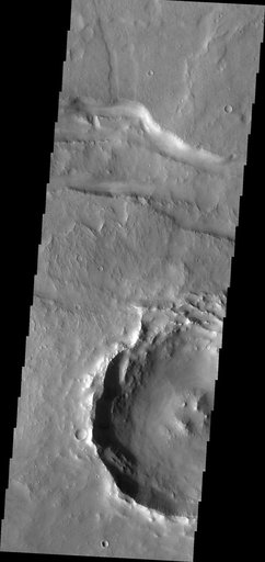 Fracture