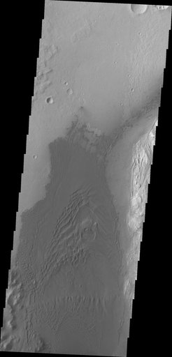 V38546002