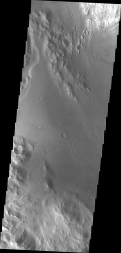 Images of Gale #26