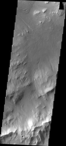 Images of Gale #33