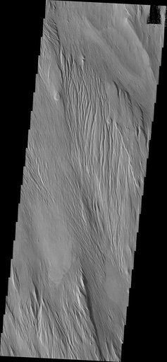 Yardangs