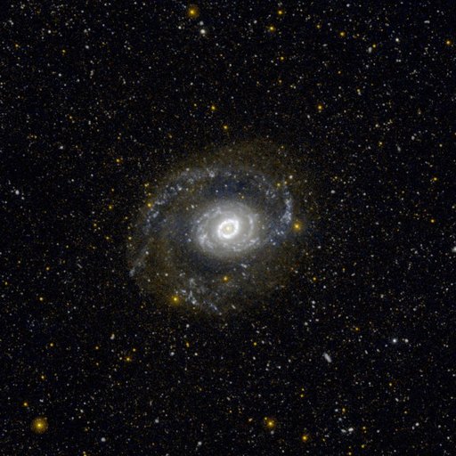 Ultraviolet Ring of Stars
