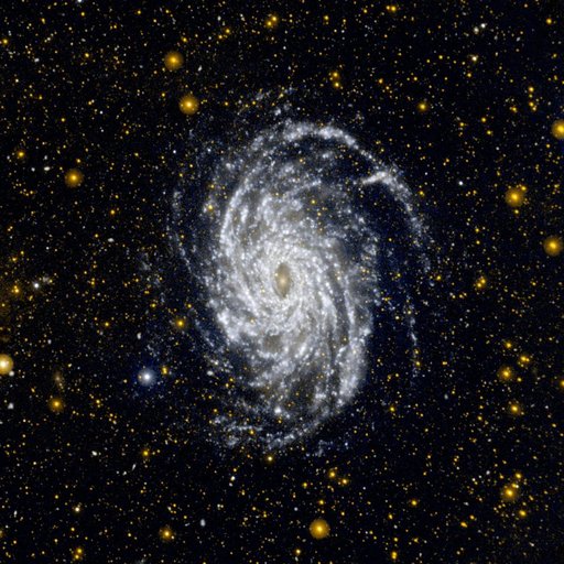 Big Brother to the Milky Way